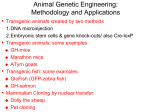 Biotechnology and Genetic Engineering