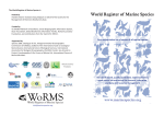 WoRMS flyer - World Register of Marine Species