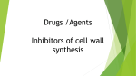 Agents Inhibitors of cell wall synthesis