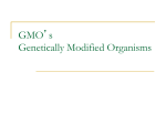 GMO`s Genetically Modified Organisms