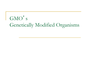 GMO`s Genetically Modified Organisms