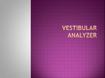 46 Vestibular analyzer