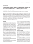 Wnt Signaling Mutants Have Decreased Dentate Granule Cell