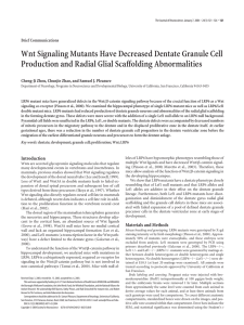 Wnt Signaling Mutants Have Decreased Dentate Granule Cell