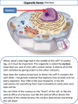 Organelle Name: Nucleus - Fall River Public Schools