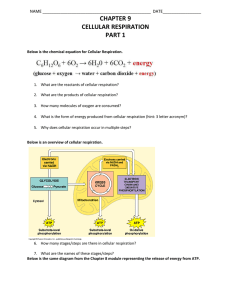 chapter 9 cellular respiration part 1