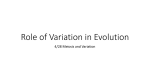 Variation and Evolution notes