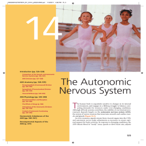 The Autonomic Nervous System