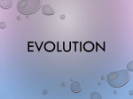 Evolution Notes