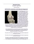 Interactive Knee - bodymechanics.info