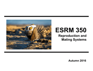 Reproduction and mating systems
