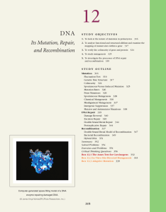 DNA: Its Mutation, Repair, and Recombination