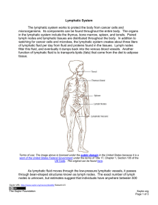 Lymphatic System The lymphatic system works to protect the body