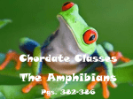 Amphibians - T. Schor Middle School