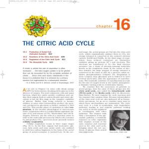 THE CITRIC ACID CYCLE