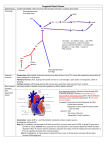 Congenital heart disease fact sheet