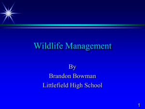 Wildlife Management - Littlefield High School