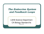 The Endocrine System and Feedback Loops