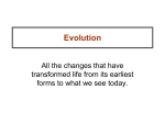 Evidences of evolution File