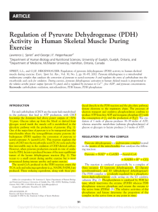 Regulation of Pyruvate Dehydrogenase (PDH