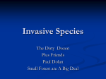Invasive Species: The Dirty Dozen Plus Friends