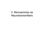 Norepinephrine as a neurotransmitter
