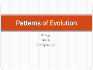 Patterns of evolution