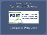 Diseases of dairy cows