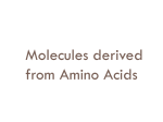 Molecules derived from Amino Acids