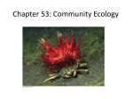 Chapter 53: Community Ecology - Lincoln High School AP Biology