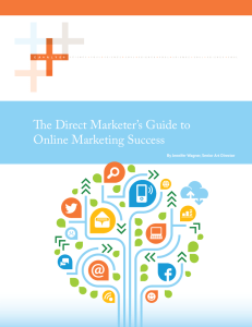 The Direct Marketer`s Guide to Online Marketing Success