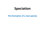 Speciation pp