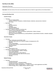 Red Blood Cells (RBC) Interpretive Summary