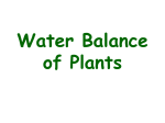 Water Balance of Plants