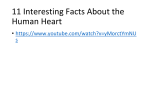 11 Interesting Facts About the Human Heart
