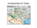 ecoregions of texas