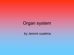 Organ system - tworivers.crec.org