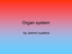 Organ system - tworivers.crec.org