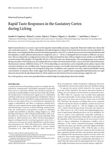 Rapid Taste Responses in the Gustatory Cortex during Licking