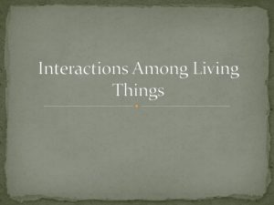 Interactions Among Living Things