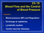 Ch 15: Blood Flow and the Control of Blood Pressure