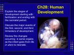 Ch16: Embryonic Development