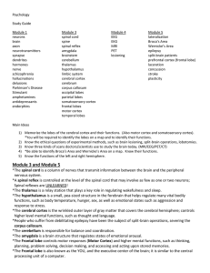 Chapter 2 STUDY GUIDE