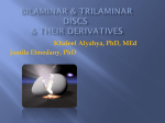 bilaminarand trilaminar discs2011-09-11 07:034.1 MB