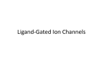 Ligand-Gated Ion Channels