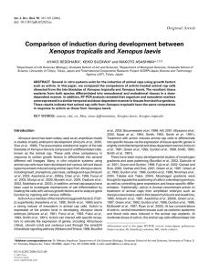 Comparison of induction during development between Xenopus
