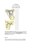 the temporomandibular ligament