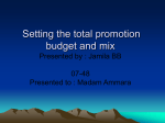 Setting the total promotion budget and mix By