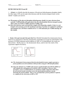 EXAM III KEY - the Complex Carbohydrate Research Center