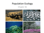 Population Ecology - Madeira City Schools